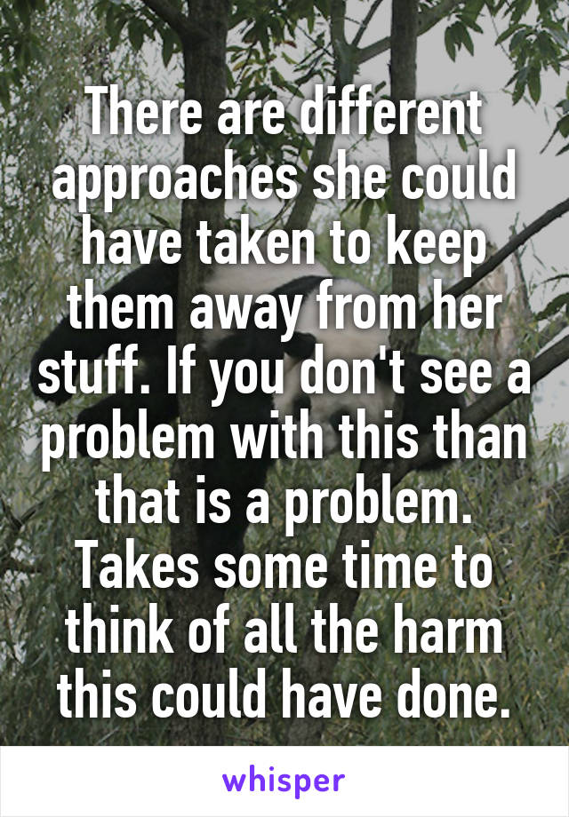 There are different approaches she could have taken to keep them away from her stuff. If you don't see a problem with this than that is a problem. Takes some time to think of all the harm this could have done.