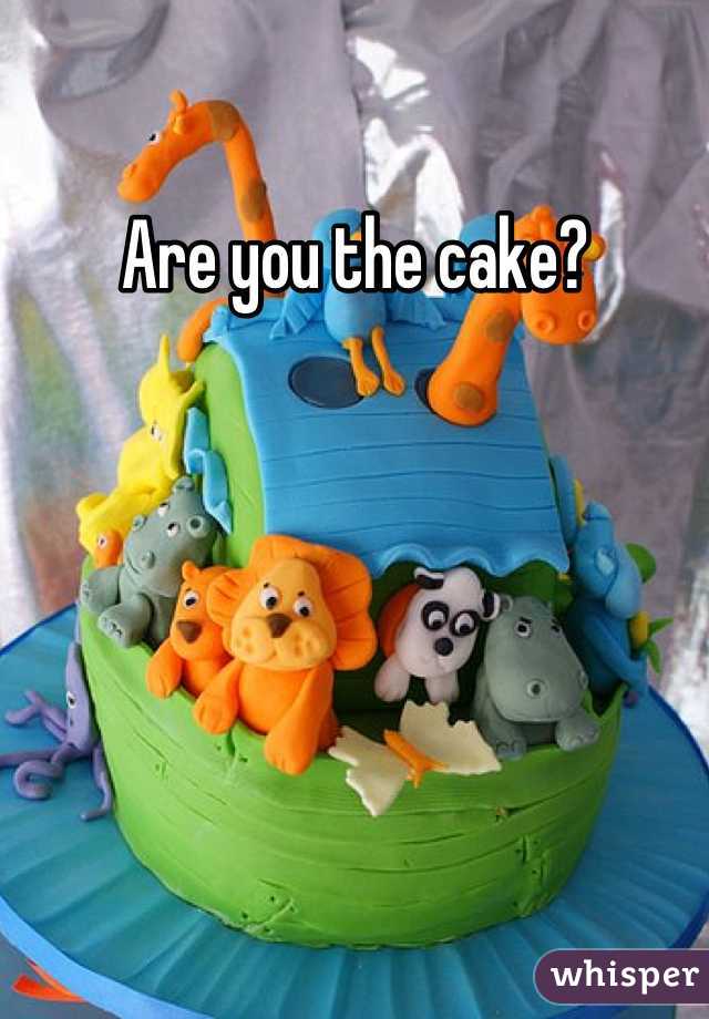 Are you the cake?