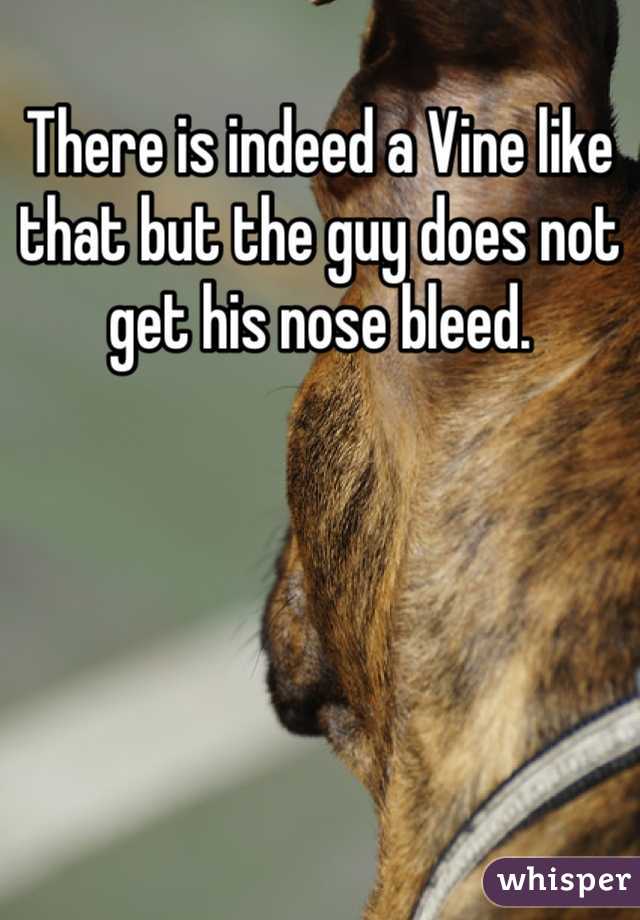 There is indeed a Vine like that but the guy does not get his nose bleed.