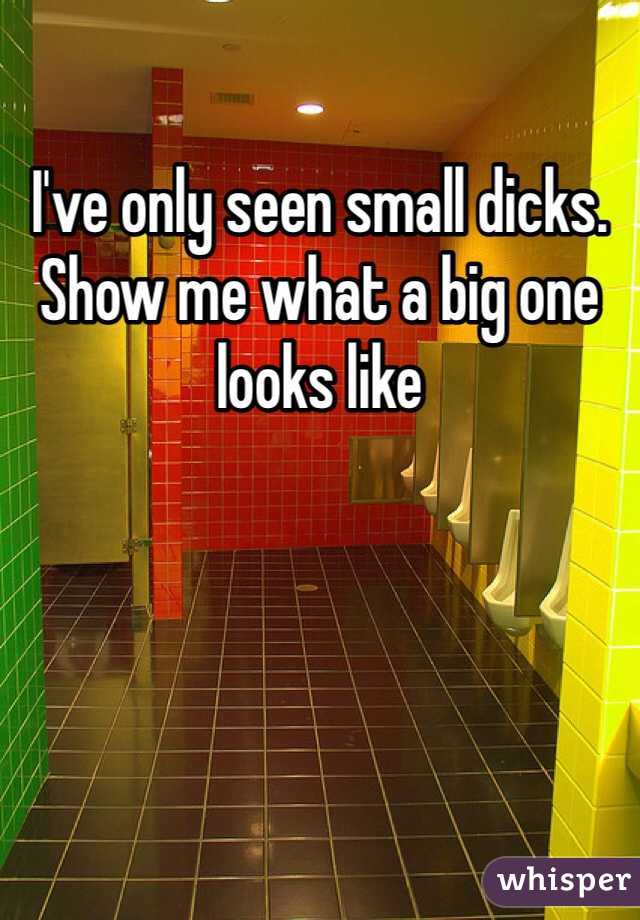I've only seen small dicks. Show me what a big one looks like