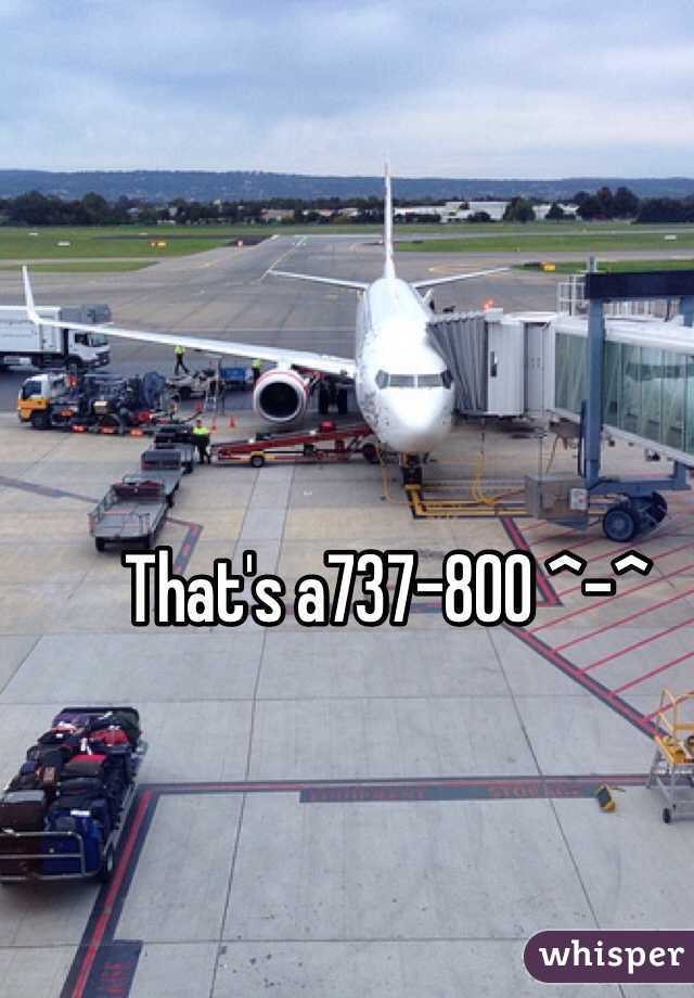 That's a737-800 ^-^