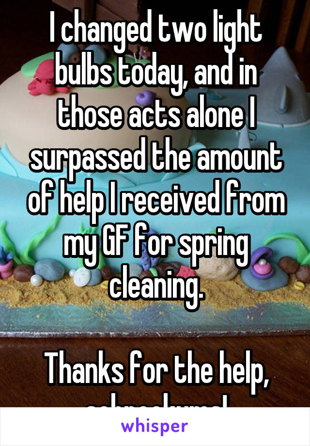 I changed two light bulbs today, and in those acts alone I surpassed the amount of help I received from my GF for spring cleaning.

Thanks for the help, schnookums!