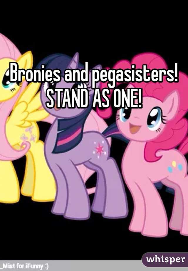 Bronies and pegasisters! STAND AS ONE!