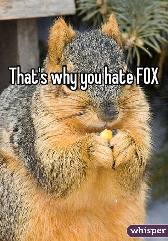 That's why you hate FOX