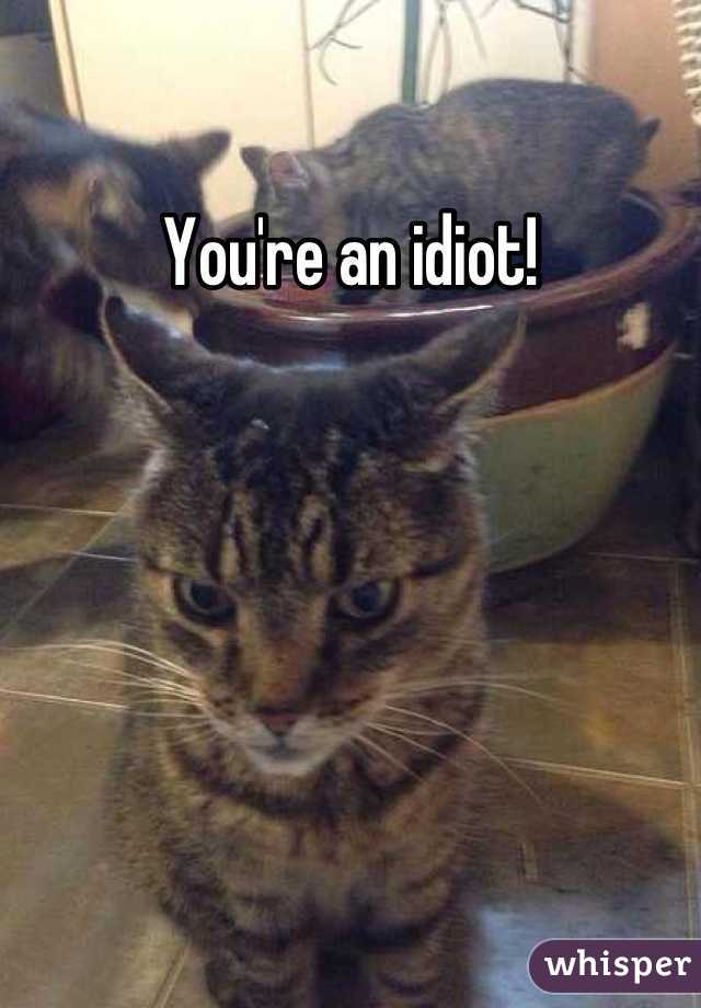 You're an idiot!