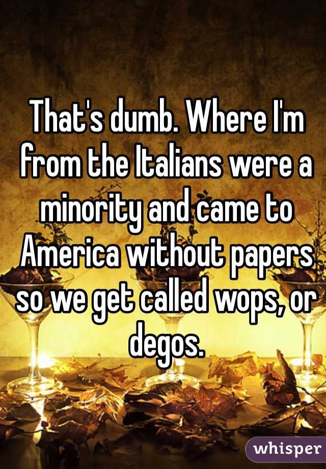 That's dumb. Where I'm from the Italians were a minority and came to America without papers so we get called wops, or degos.