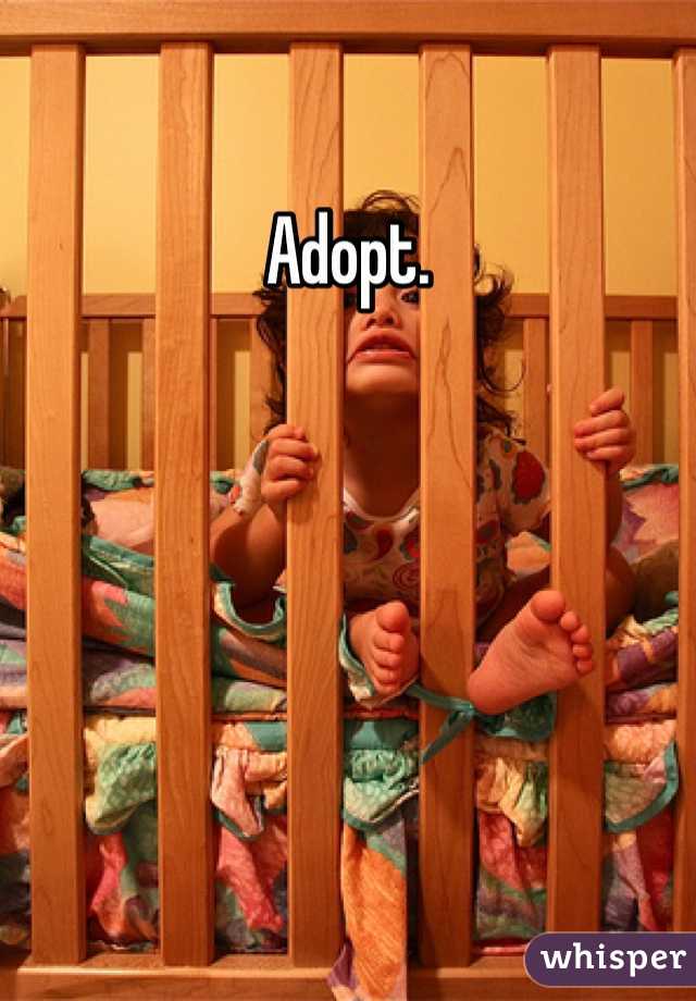 Adopt.