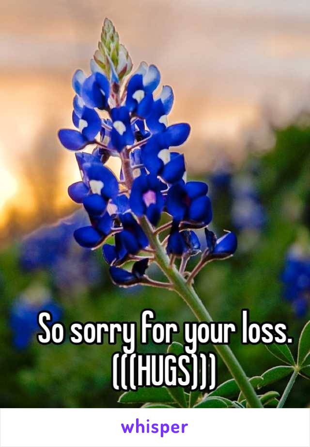 So sorry for your loss. (((HUGS)))