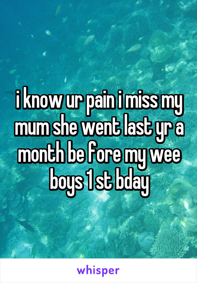 i know ur pain i miss my mum she went last yr a month be fore my wee boys 1 st bday