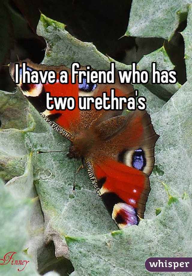 I have a friend who has two urethra's 