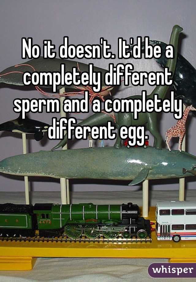 No it doesn't. It'd be a completely different sperm and a completely different egg.