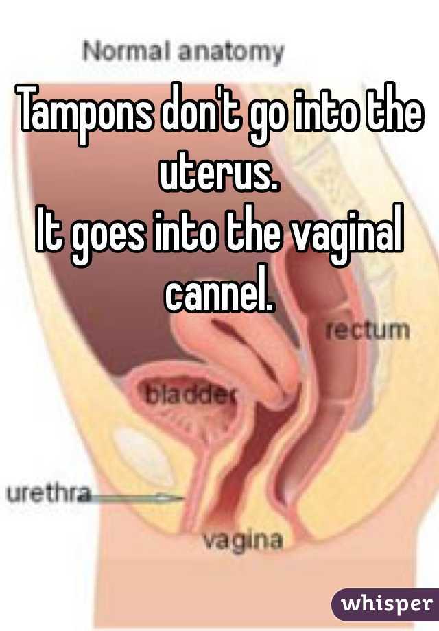 Tampons don't go into the uterus. 
It goes into the vaginal cannel. 