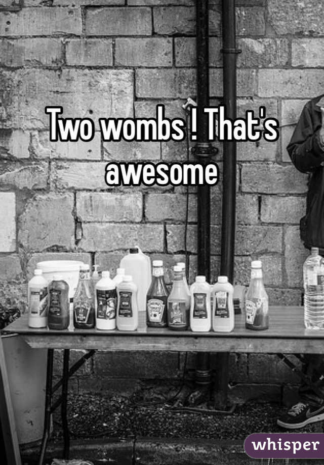 Two wombs ! That's awesome 