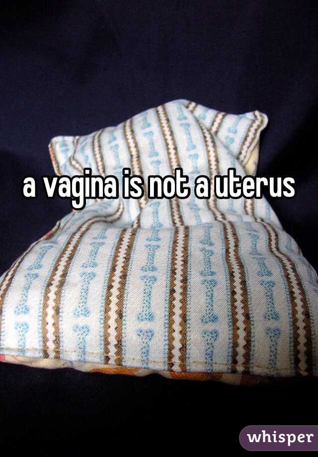 a vagina is not a uterus