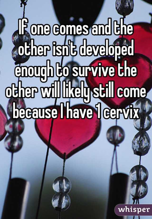 If one comes and the other isn't developed enough to survive the other will likely still come because I have 1 cervix
