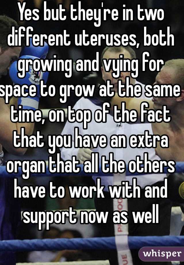 Yes but they're in two different uteruses, both growing and vying for space to grow at the same time, on top of the fact that you have an extra organ that all the others have to work with and support now as well