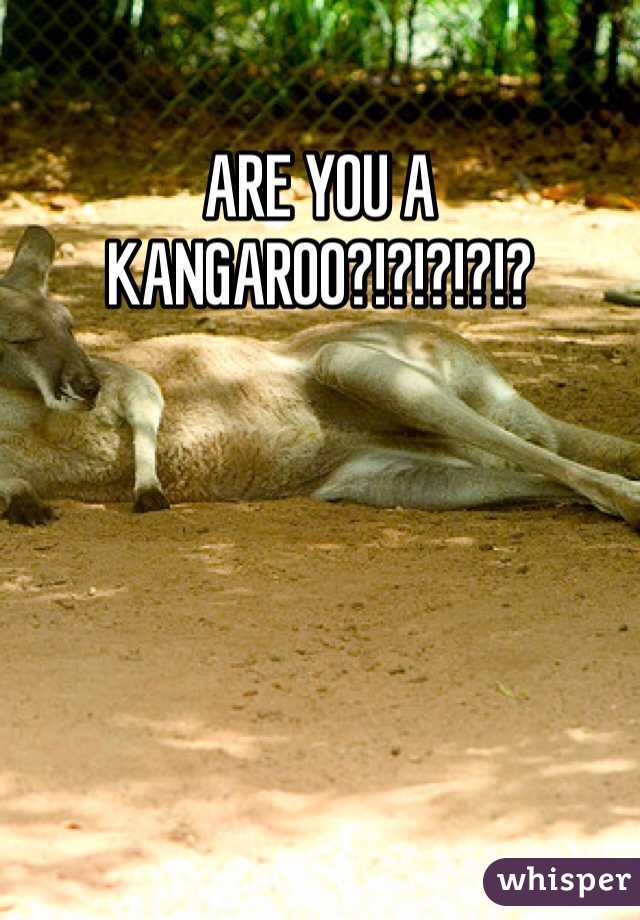 ARE YOU A KANGAROO?!?!?!?!?