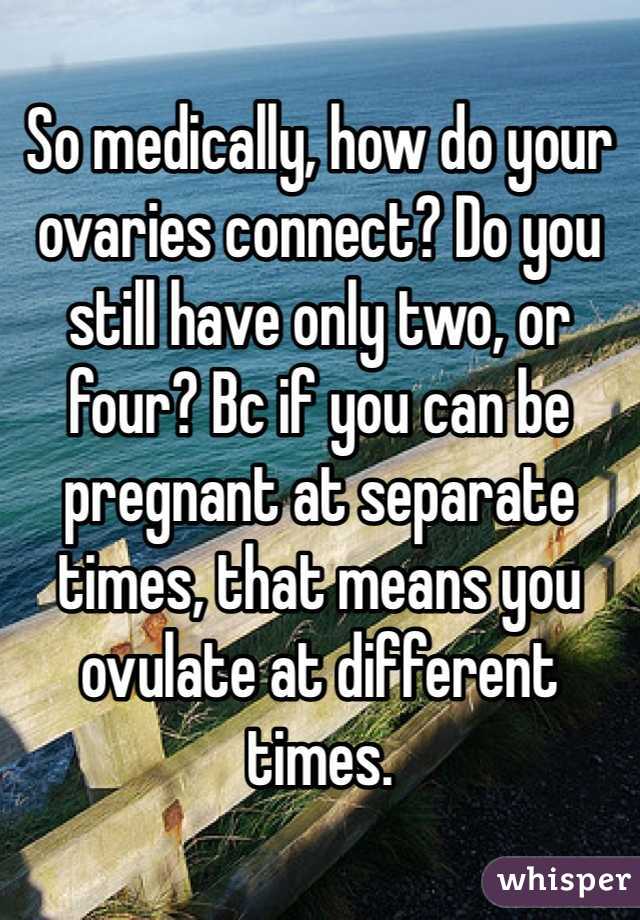 So medically, how do your ovaries connect? Do you still have only two, or four? Bc if you can be pregnant at separate times, that means you ovulate at different times.