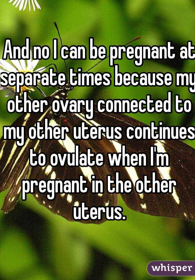 And no I can be pregnant at separate times because my other ovary connected to my other uterus continues to ovulate when I'm pregnant in the other uterus.