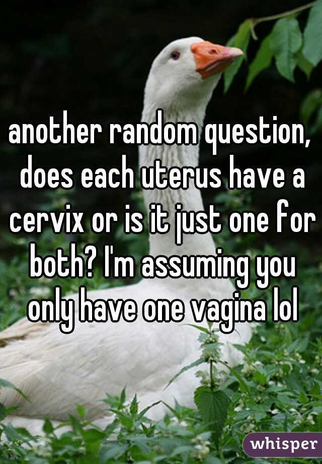 another random question, does each uterus have a cervix or is it just one for both? I'm assuming you only have one vagina lol