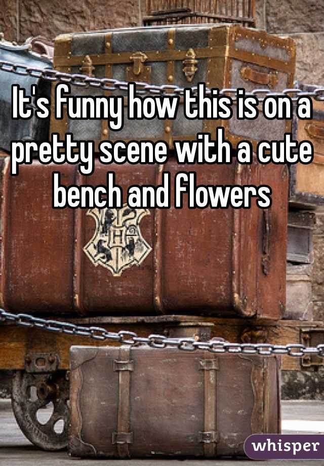 It's funny how this is on a pretty scene with a cute bench and flowers
