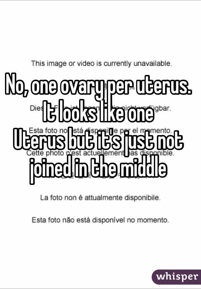 No, one ovary per uterus. It looks like one
Uterus but it's just not joined in the middle