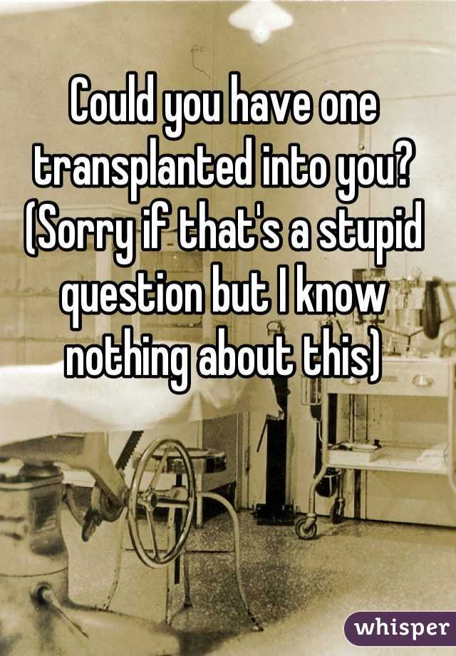 Could you have one transplanted into you? (Sorry if that's a stupid question but I know nothing about this)