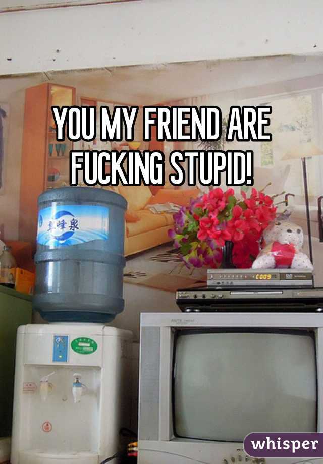 YOU MY FRIEND ARE FUCKING STUPID!