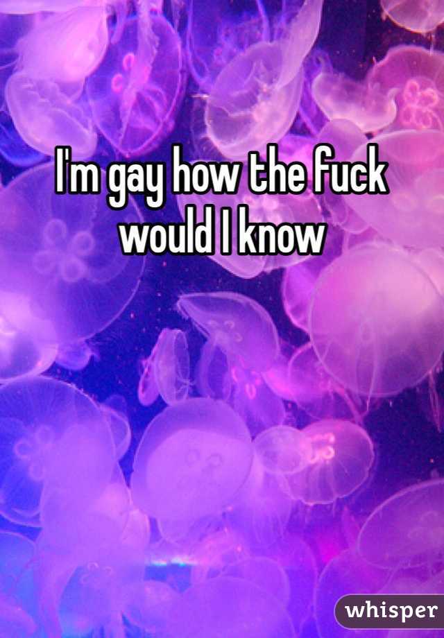 I'm gay how the fuck would I know