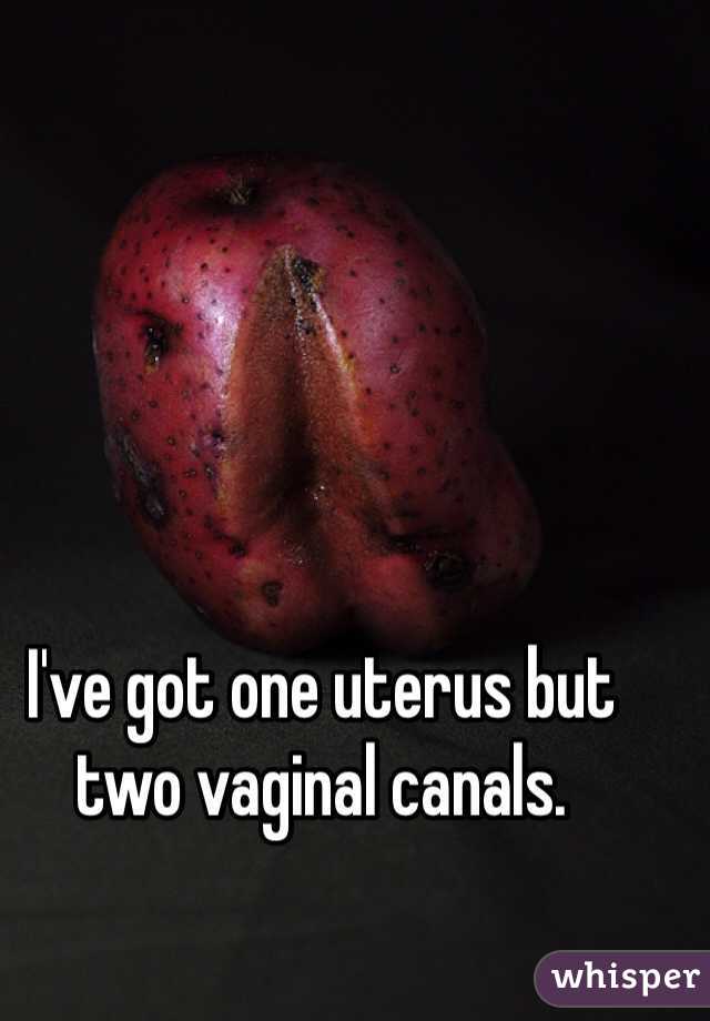 I've got one uterus but two vaginal canals.