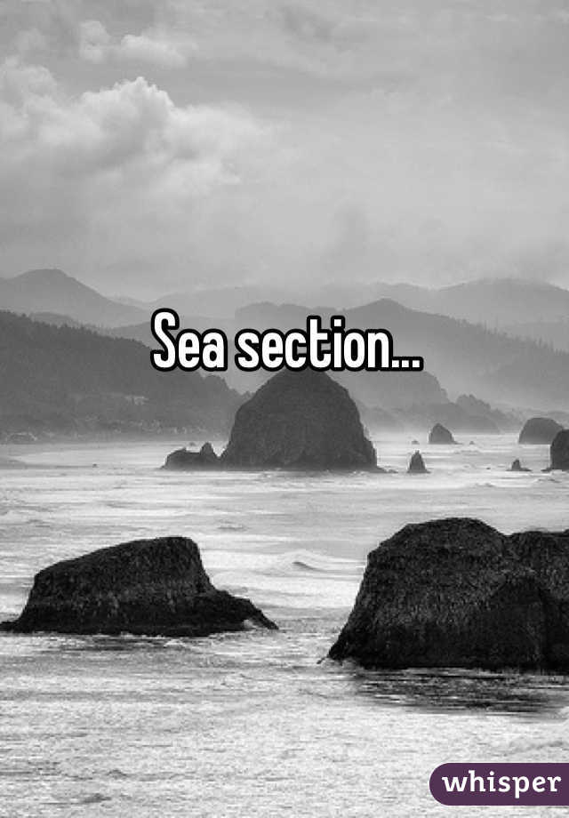 Sea section...