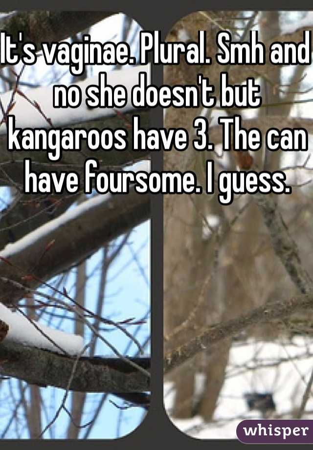 It's vaginae. Plural. Smh and no she doesn't but kangaroos have 3. The can have foursome. I guess. 