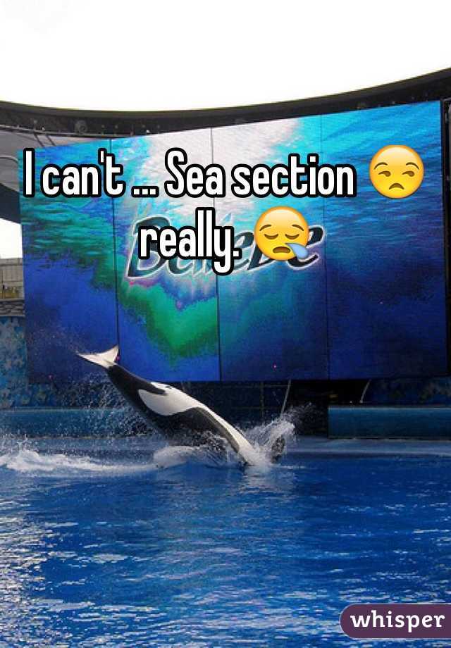 I can't ... Sea section 😒 really. 😪