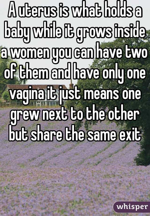 A uterus is what holds a baby while it grows inside a women you can have two of them and have only one vagina it just means one grew next to the other but share the same exit 