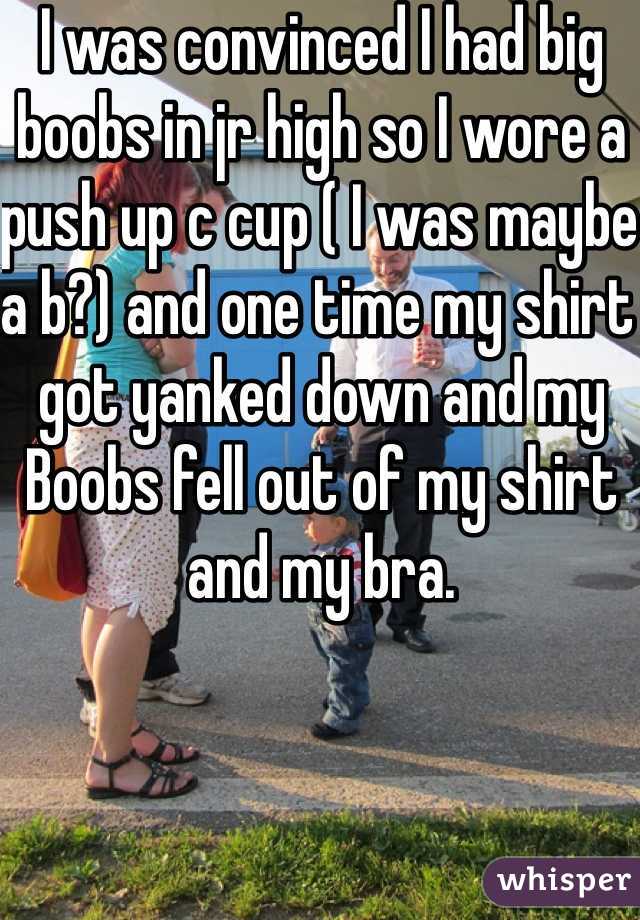 I was convinced I had big boobs in jr high so I wore a push up c cup ( I was maybe a b?) and one time my shirt got yanked down and my Boobs fell out of my shirt and my bra. 