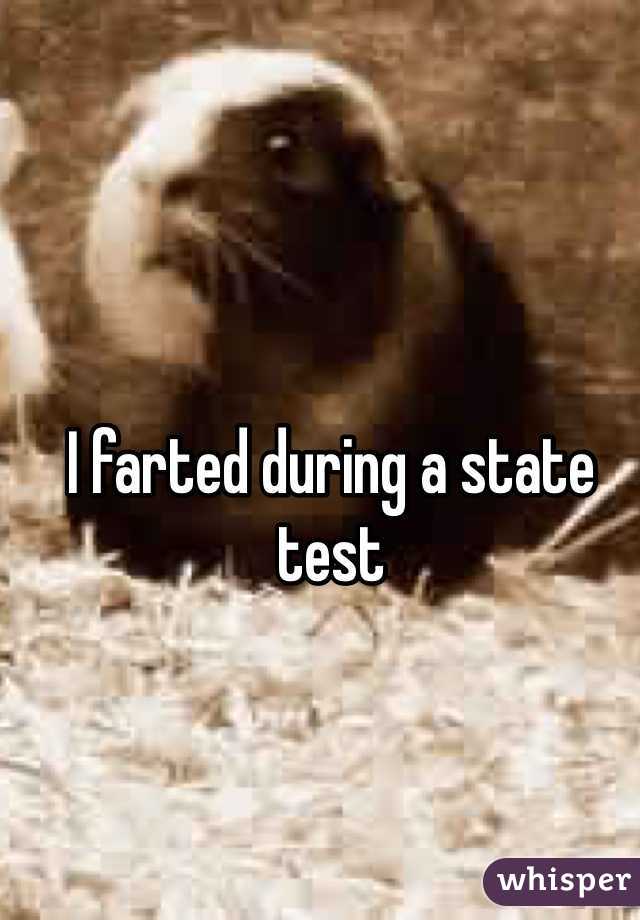 I farted during a state test