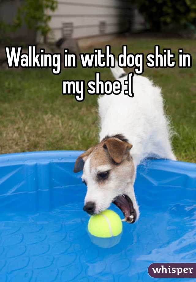 Walking in with dog shit in my shoe :(