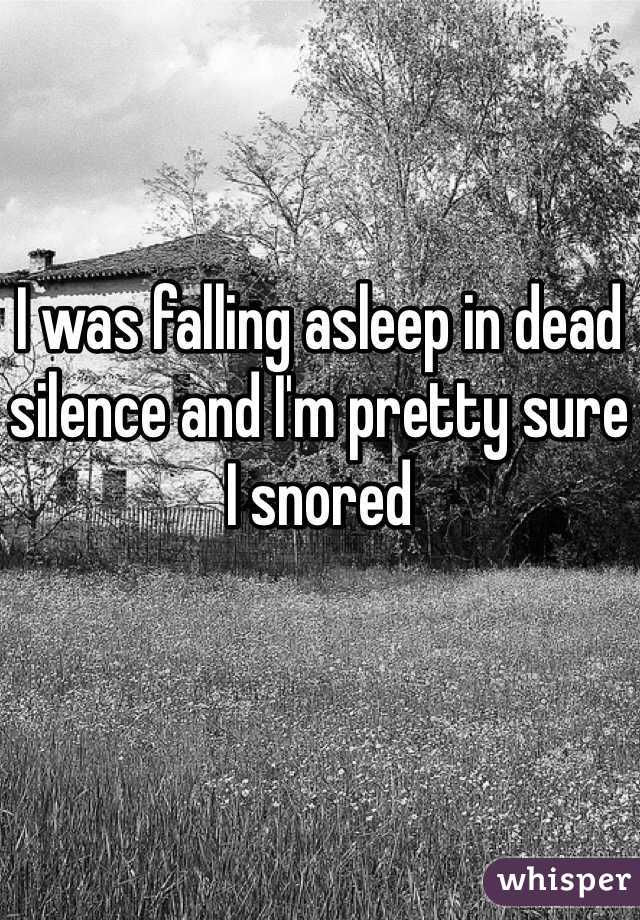 I was falling asleep in dead silence and I'm pretty sure I snored