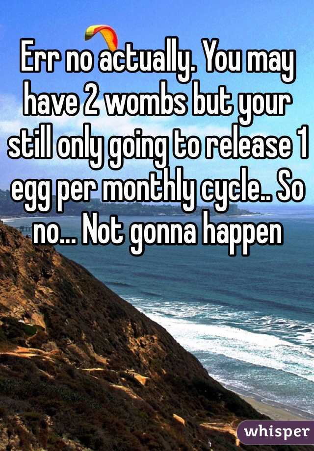 Err no actually. You may have 2 wombs but your still only going to release 1 egg per monthly cycle.. So no... Not gonna happen