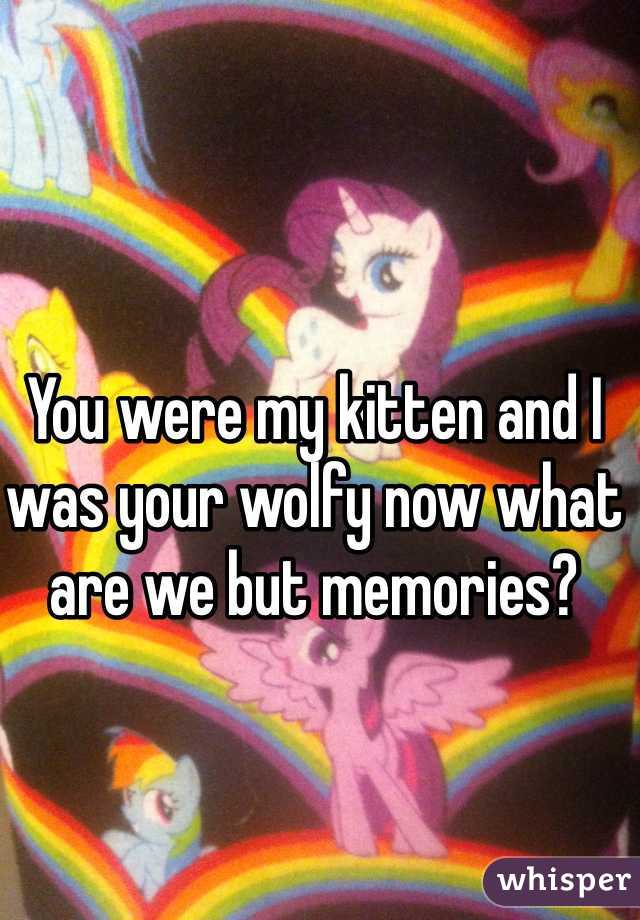 You were my kitten and I was your wolfy now what are we but memories?