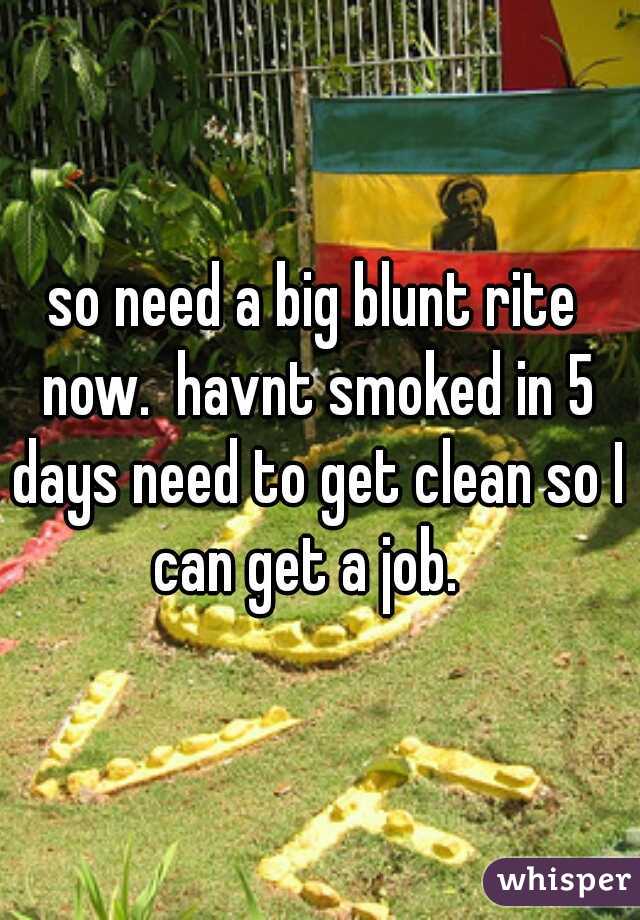 so need a big blunt rite now.  havnt smoked in 5 days need to get clean so I can get a job.  