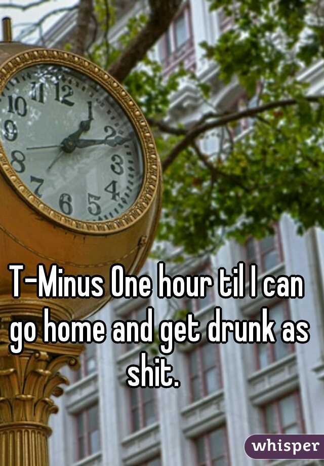 T-Minus One hour til I can go home and get drunk as shit.  