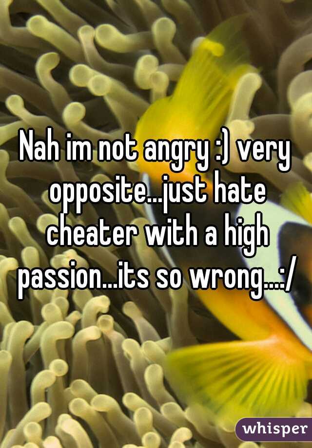 Nah im not angry :) very opposite...just hate cheater with a high passion...its so wrong...:/