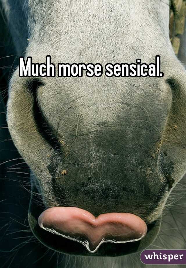 Much morse sensical. 
