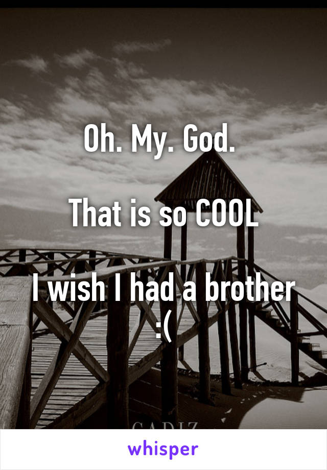 Oh. My. God. 

That is so COOL

I wish I had a brother :(