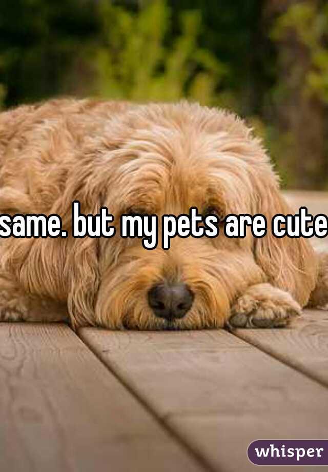 same. but my pets are cute.