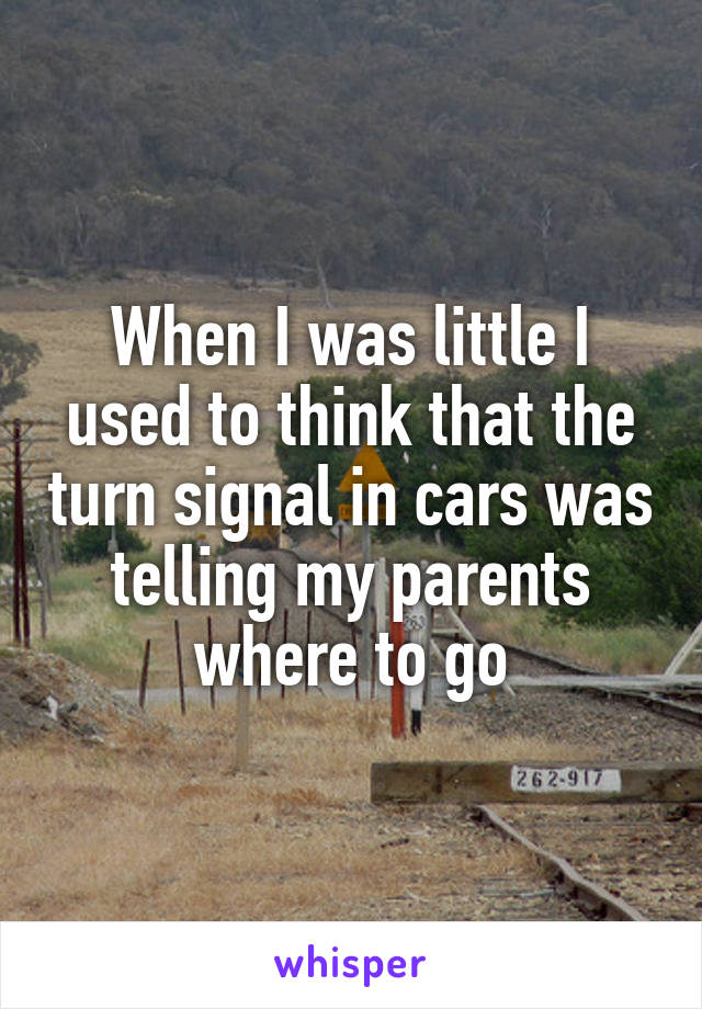 When I was little I used to think that the turn signal in cars was telling my parents where to go