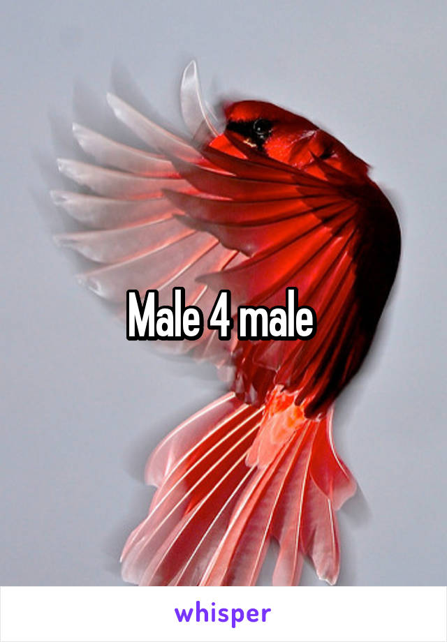 Male 4 male 
