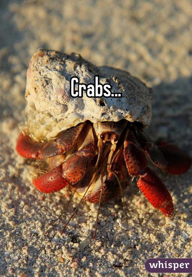 Crabs...