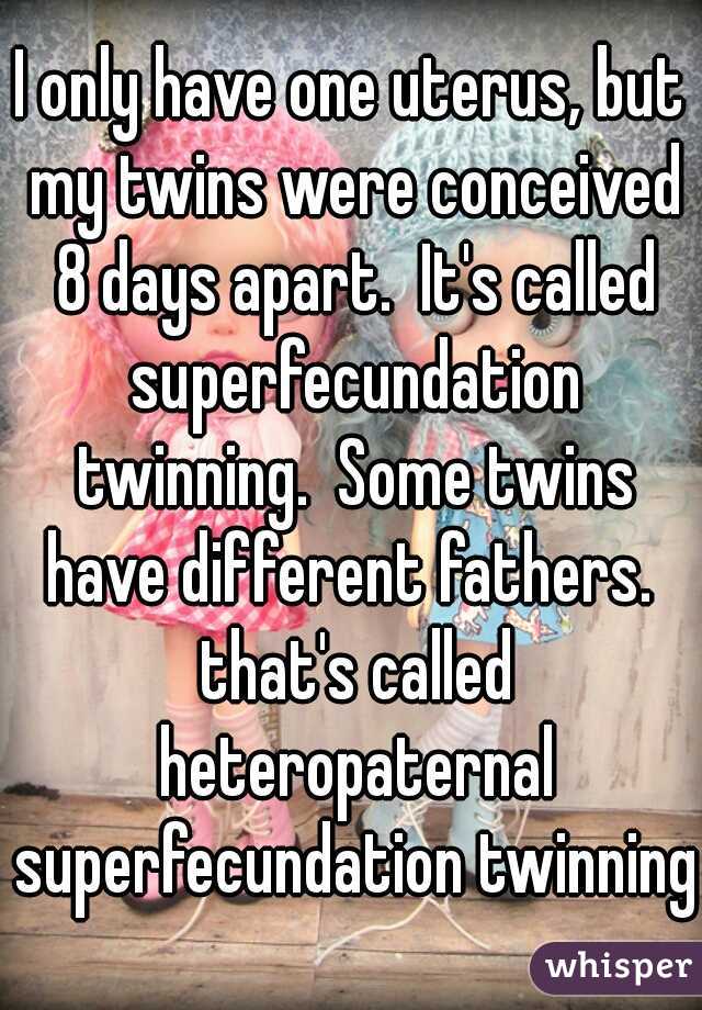 I only have one uterus, but my twins were conceived 8 days apart.  It's called superfecundation twinning.  Some twins have different fathers.  that's called heteropaternal superfecundation twinning.